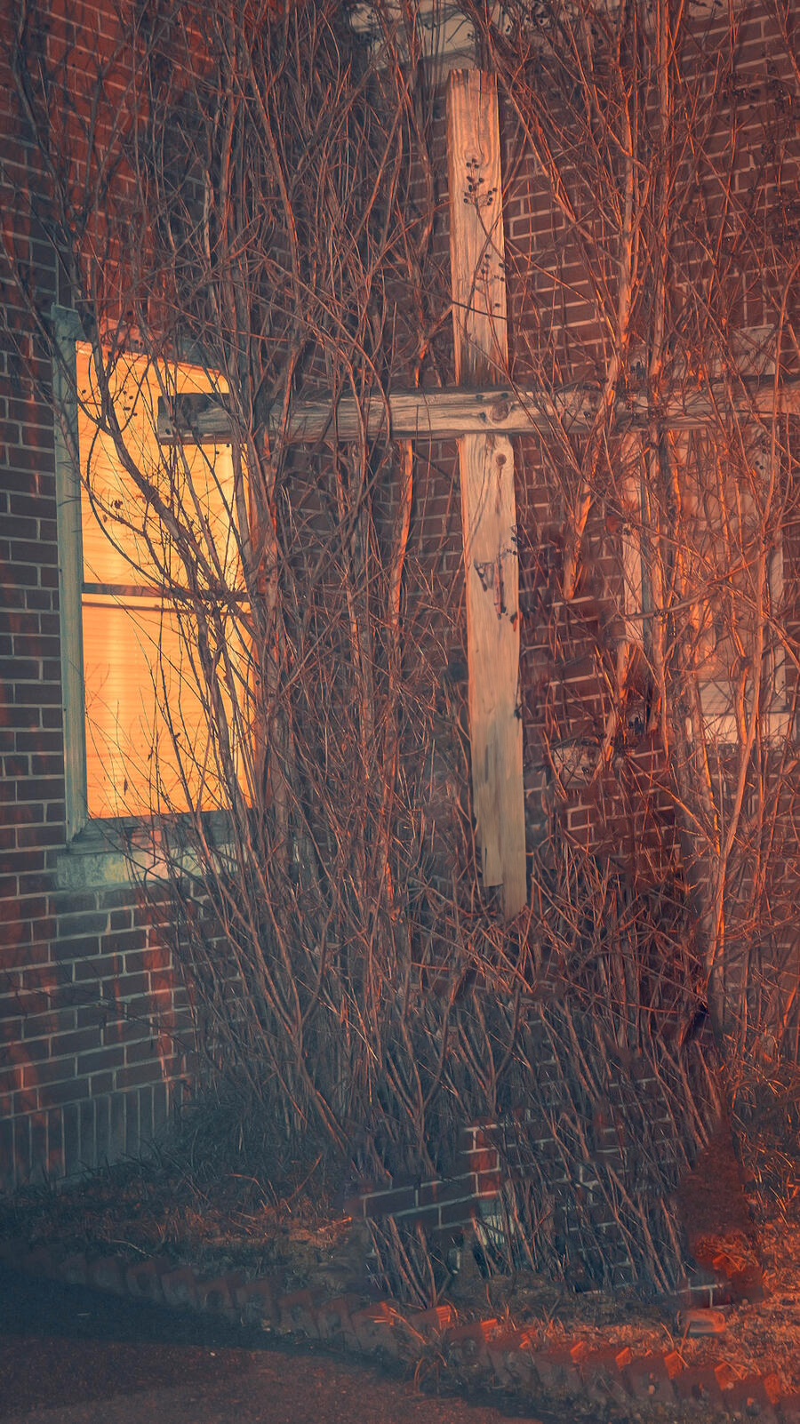 Background Layer